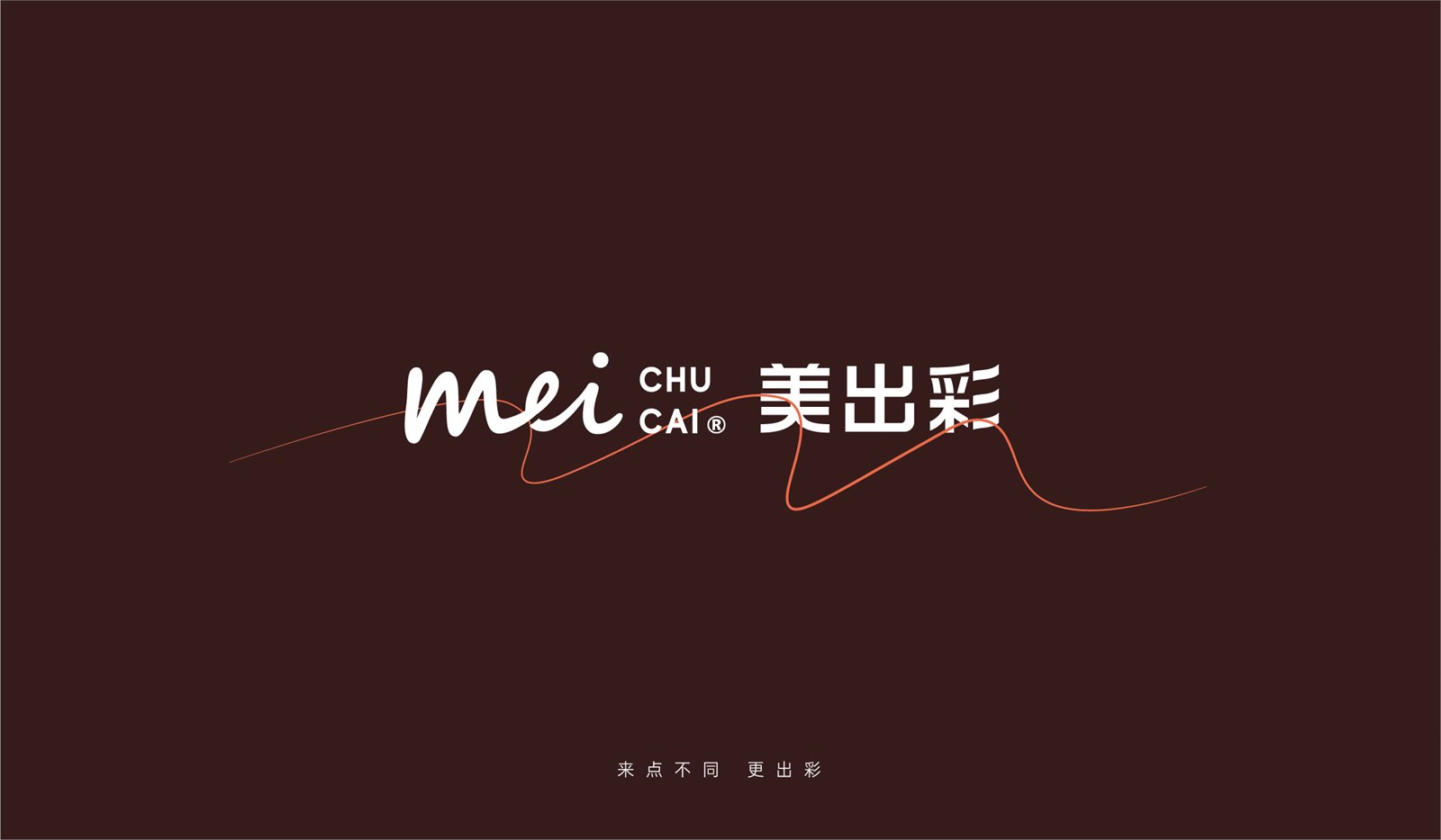 美出彩品牌全案设计